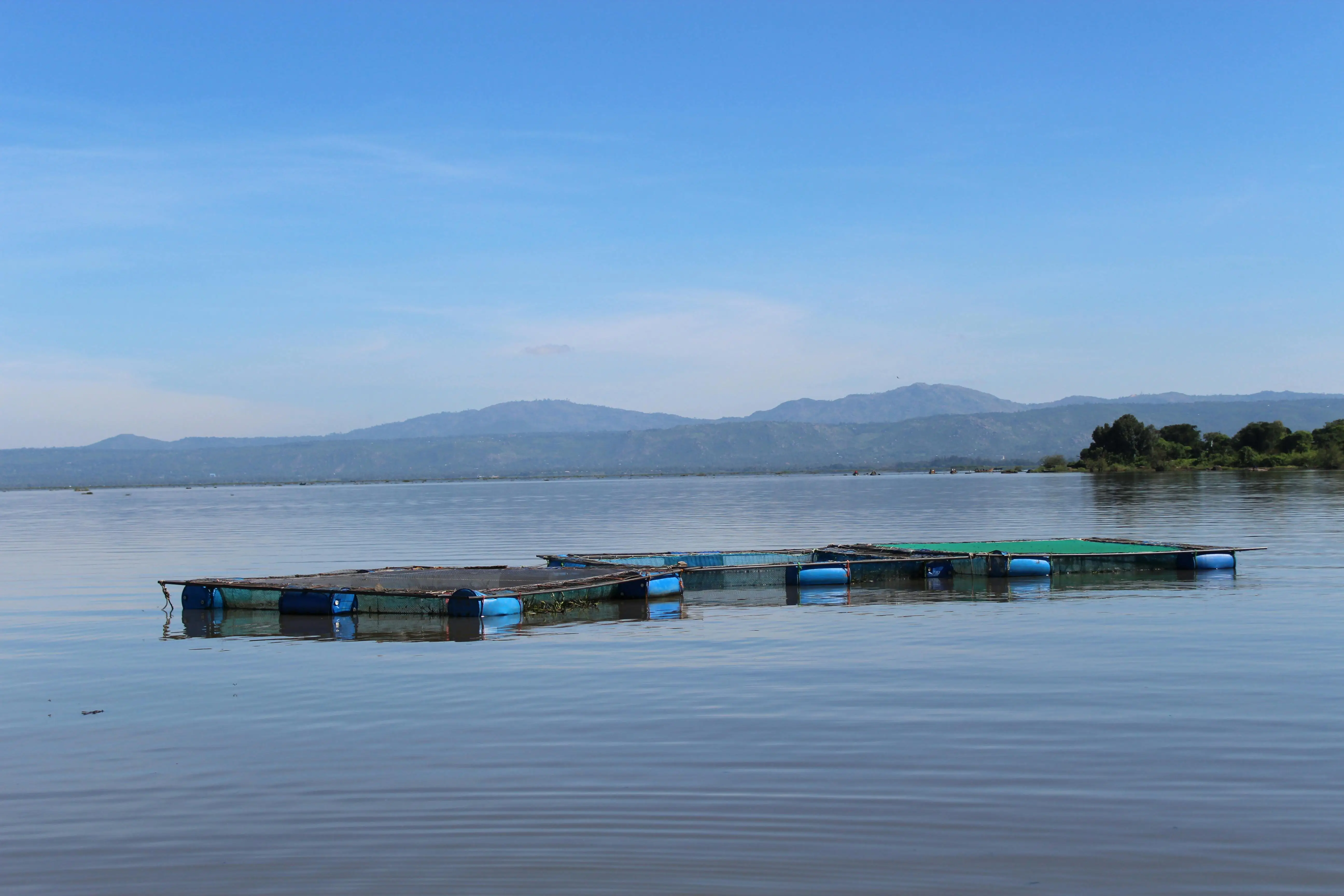 Community access to clean water